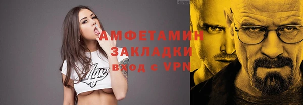 прущие грибы Няндома
