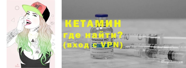прущие грибы Няндома