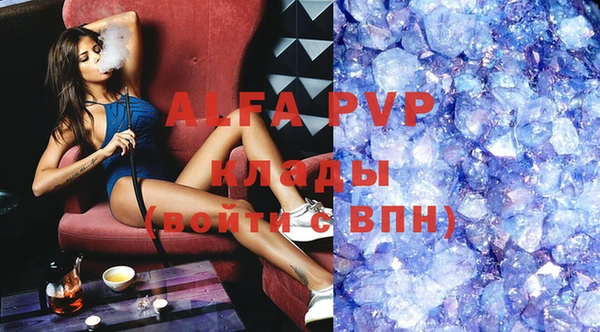 прущие грибы Няндома