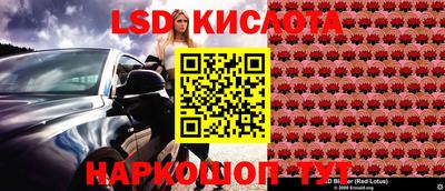 кокс Берёзовский