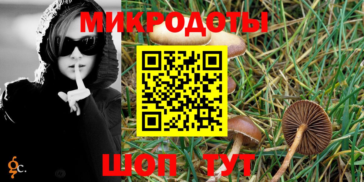 Псилоцибиновые грибы Psilocybe Полысаево